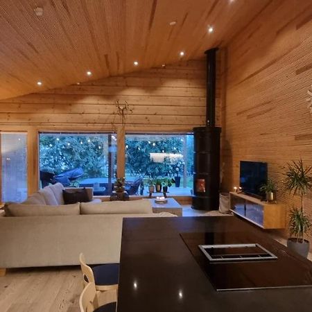 Luxury Villa Rauhankatu روفانييمي المظهر الخارجي الصورة
